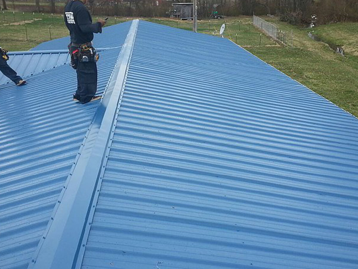blue metal roof